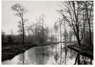 Koenigsberg - Partie am Landgraben.jpg