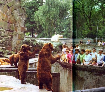 Медвежий угол зоопарка