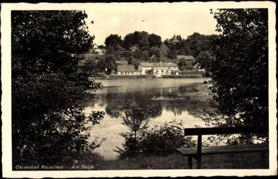 Rauschen Partie am Teich.jpg