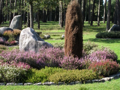 Lueneburger Heide 2.JPG