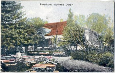 &quot;Лесной дом&quot;в Модиттене, 1916г.