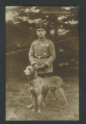 AK-Immelmann-Hund-dog-Dobermann-feldp-Koenigsberg.jpg