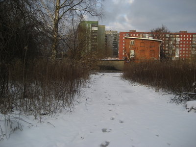 в сторону Преголи