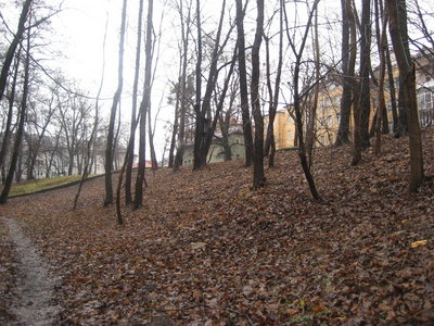 современный вид места , где был альпийский  парк