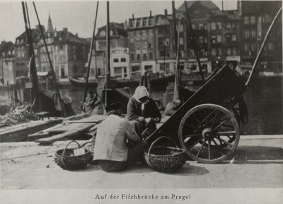 Auf der Fischbruecke am Pregel.jpg