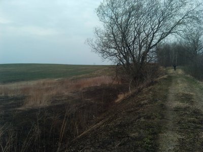 Пассажиры могли наслаждаться вот таким пейзажем