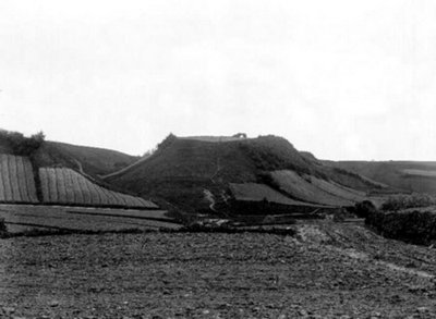 Вид от кирхи. 1900 год