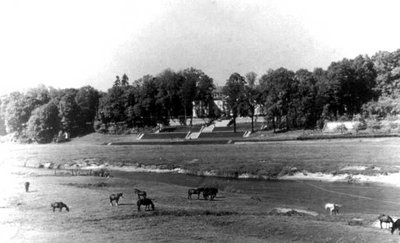 13 -  Allewiesen vor dem Schloss Leissienen.jpg