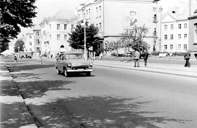 &quot;Знаменитая&quot; яблонька в сквере и не менее известный плакат над ней