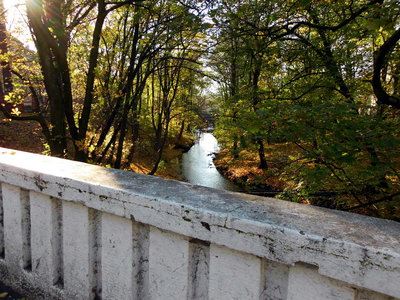 Вид в сторону зоопарка