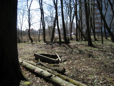 Вдали виднеется супермаркет Вестер Сити на месте Loebenichtscher Hospital Friedhof