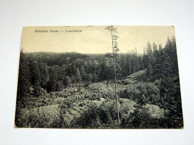 Rominter-Heide-Luisenblick-ca-1910-1930.JPG