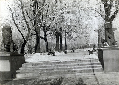 Брянск. 1951 год