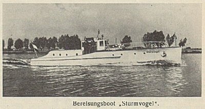 STURMVOGEL-2.jpg