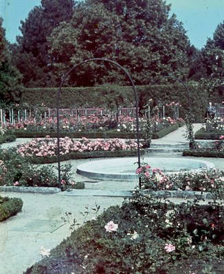 Rosengarten in Königsberg i.Pr.jpg