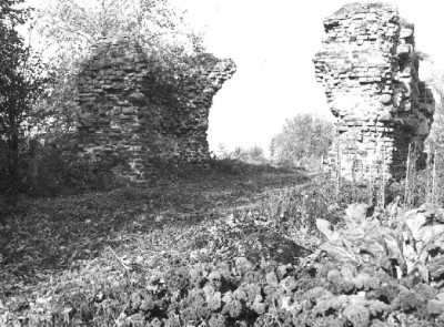 руины орденского замка