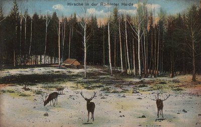 Rominten-Feldpost-1916.JPG