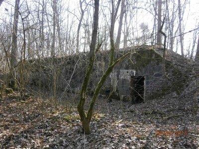 2 в лесу в хорошем состоянии