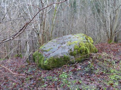 Naturdenkmal