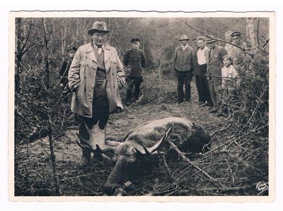 Schwarzort-Nehrung-1940-erlegter-Elch-Jager-Ministerprasident-Goring.JPG