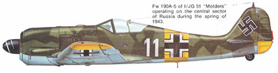 FW190 JG51.jpg