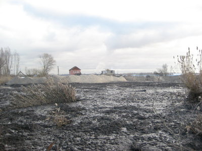 три недели назад еще были огородики