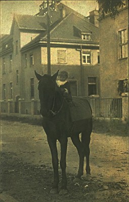 Königsberg Pr. Kleines Kind auf Pferd vor Wohnhaus 1920