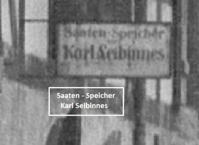 Saaten Seibinnes