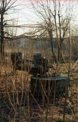 Останки того самого солдата, которому сапоги по выпуску чистили! Спортплощадка у 3го батальона. апрель 2000года.