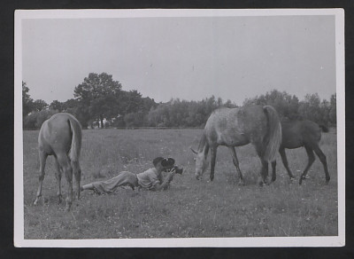 TRAKEHNEN, 1939.jpg