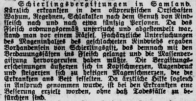Riesaer Tageblatt. 08.08.1928.jpg
