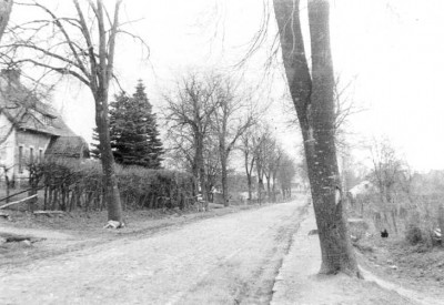 079-0014 Dorfstrasse mit Blick in Richtung Wehlau.jpg