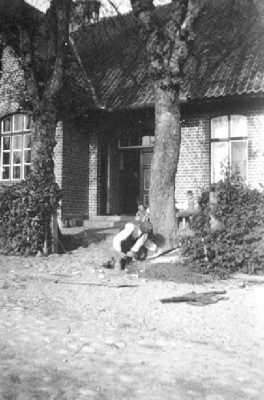 008-0001 Die Schule in Buergersdorf. Die grossen Kastanienbaeume erfroren im Winter 1942 und wurden gefaellt. Spaeter wurden Linden gepflanzt..jpg