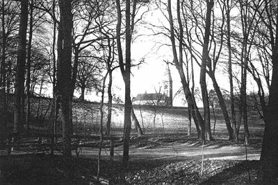 Luisenwahl-Park mit Blick vom Garten auf die Luisenkirche.jpg