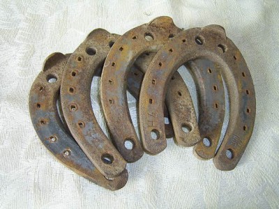 horseshoes 1.jpg