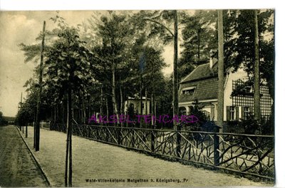 Wald-Villenkolonie-Metgethen-1914.JPG