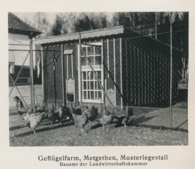 1918 - 1928 Metgethen, Geflügelfarm, Musterlegestall..PNG