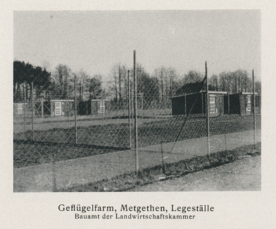 Metgethen, Geflügelfarm, Legeställe 1918 - 1928.PNG