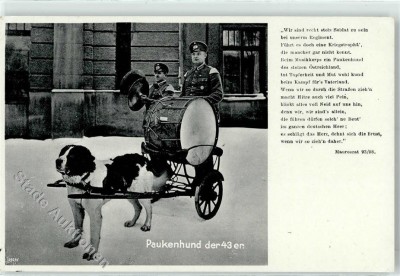 Koenigsberg  Paukenhund der 43er.JPG