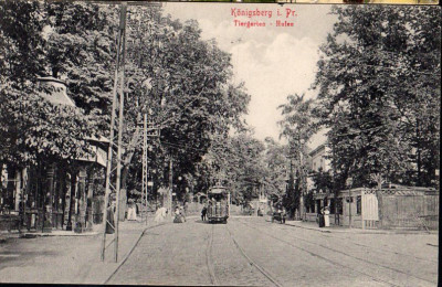 Konigsberger-Tiergarten-1910.jpg