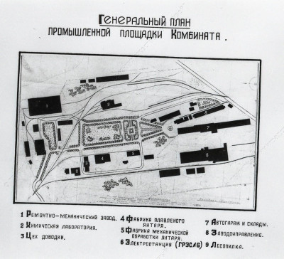 Янтарный комбинат, 1948_1.jpg